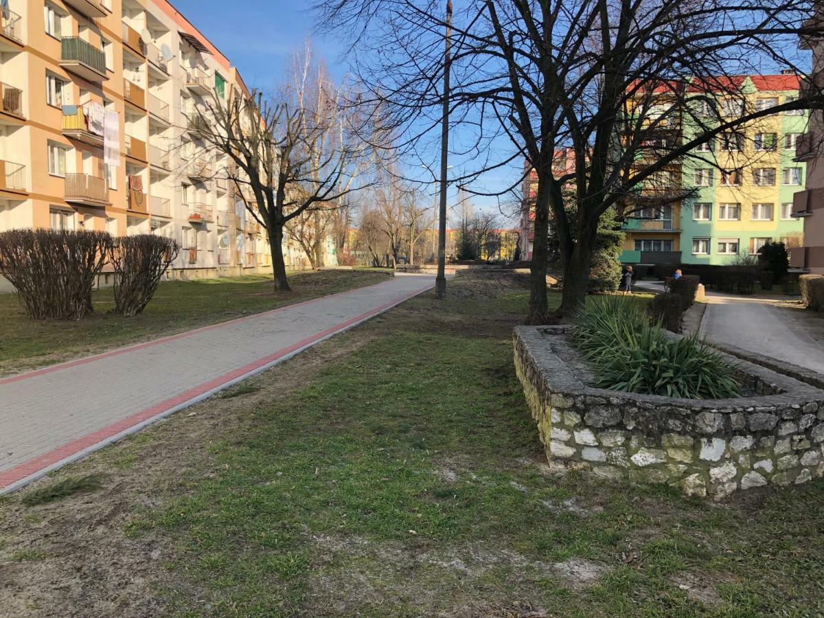 Apartament Na Zielonej Parter Apartman Kędzierzyn-Koźle Kültér fotó